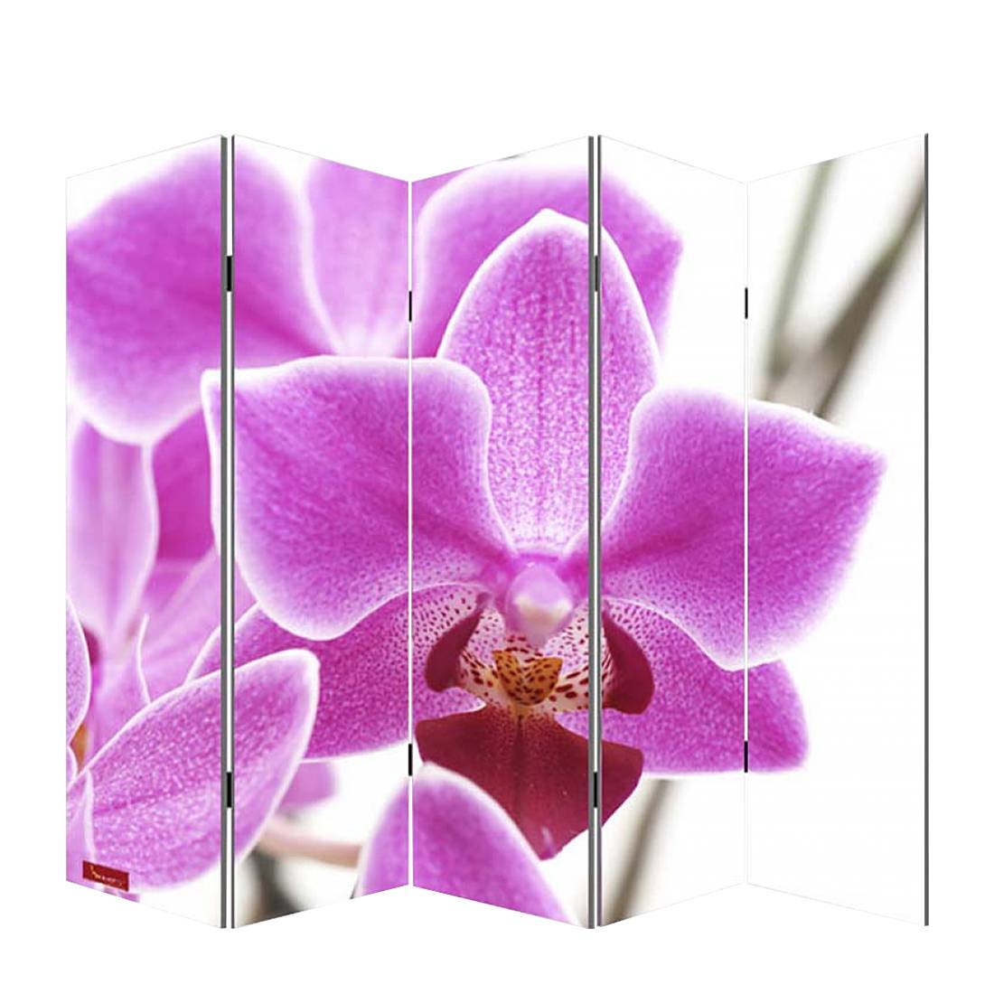 Foto-Paravent Somme - 5 Panels - 180x200cm - Orchidee